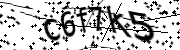 Anti-Bot verification code image